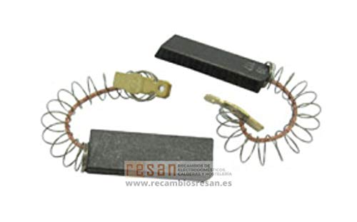 Balay – Set mit 2 Bürsten 5 x 12 x 35 C/Feder und Faston 6 m