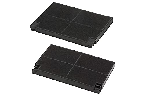 ELECTROLUX - FILTRE CHARBON EFF55 (2 PCS) - 9029800621