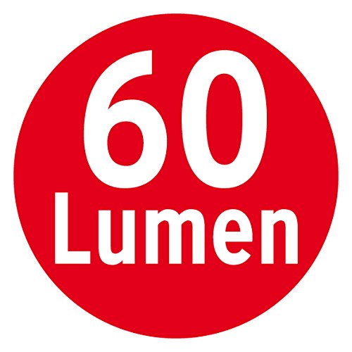 Brennenstuhl LED-Nachtlicht/Orientierungslicht mit Infrarot-Bewegungsmelder (sanftes Licht inkl. Push-Schalter und Batterien) weiß