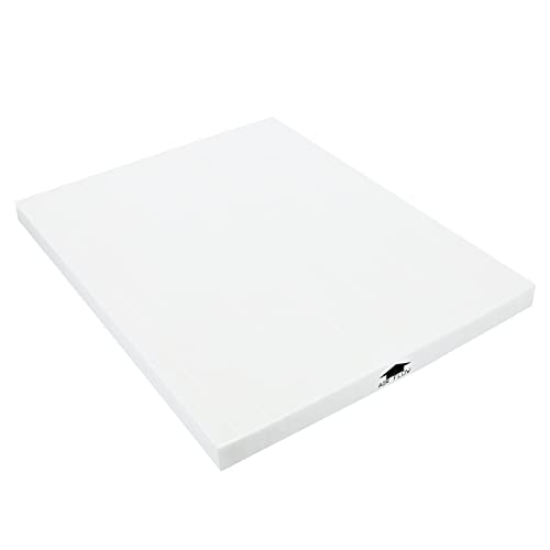 Electrolux 900167651 EF113 Filter HEPA für Air Cleaner EAP 150, Kunststoff, Weiß