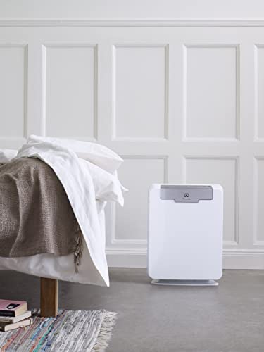 Electrolux 900167651 EF113 Filter HEPA für Air Cleaner EAP 150, Kunststoff, Weiß
