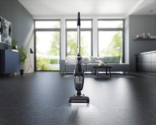 AEG AEF167 Filterset für FX9 & QX9 / Doppelpack / 2 waschbare Vormotorfilter / Staubsauger Filter / einfache Reinigung / regelmäßiger Filtertausch / verbesserte Saugleistung / passgenau / schwarz