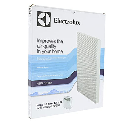Electrolux 900167651 EF113 Filter HEPA für Air Cleaner EAP 150, Kunststoff, Weiß