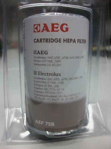 AEG AEF 75 B Hygienefilter waschbar für ACCELERATOR AAC 670..., AAC 6805...; MINION ATI 7600...7699 ; ErgoEasy ATF76…, VAMPYRETTE 2.0 AS 203